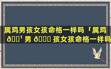 属鸡男孩女孩命格一样吗「属鸡 🌹 男 🐕 孩女孩命格一样吗婚姻如何」